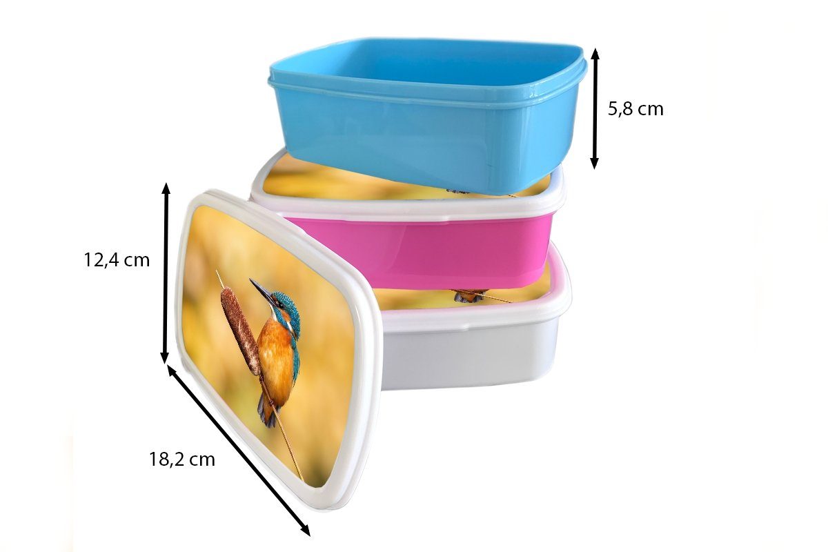 Brotdose Brotbox Lunchbox Kunststoff Kunststoff, (2-tlg), rosa Natur Kinder, für Snackbox, Erwachsene, Vogel, Eisvogel Mädchen, MuchoWow - -