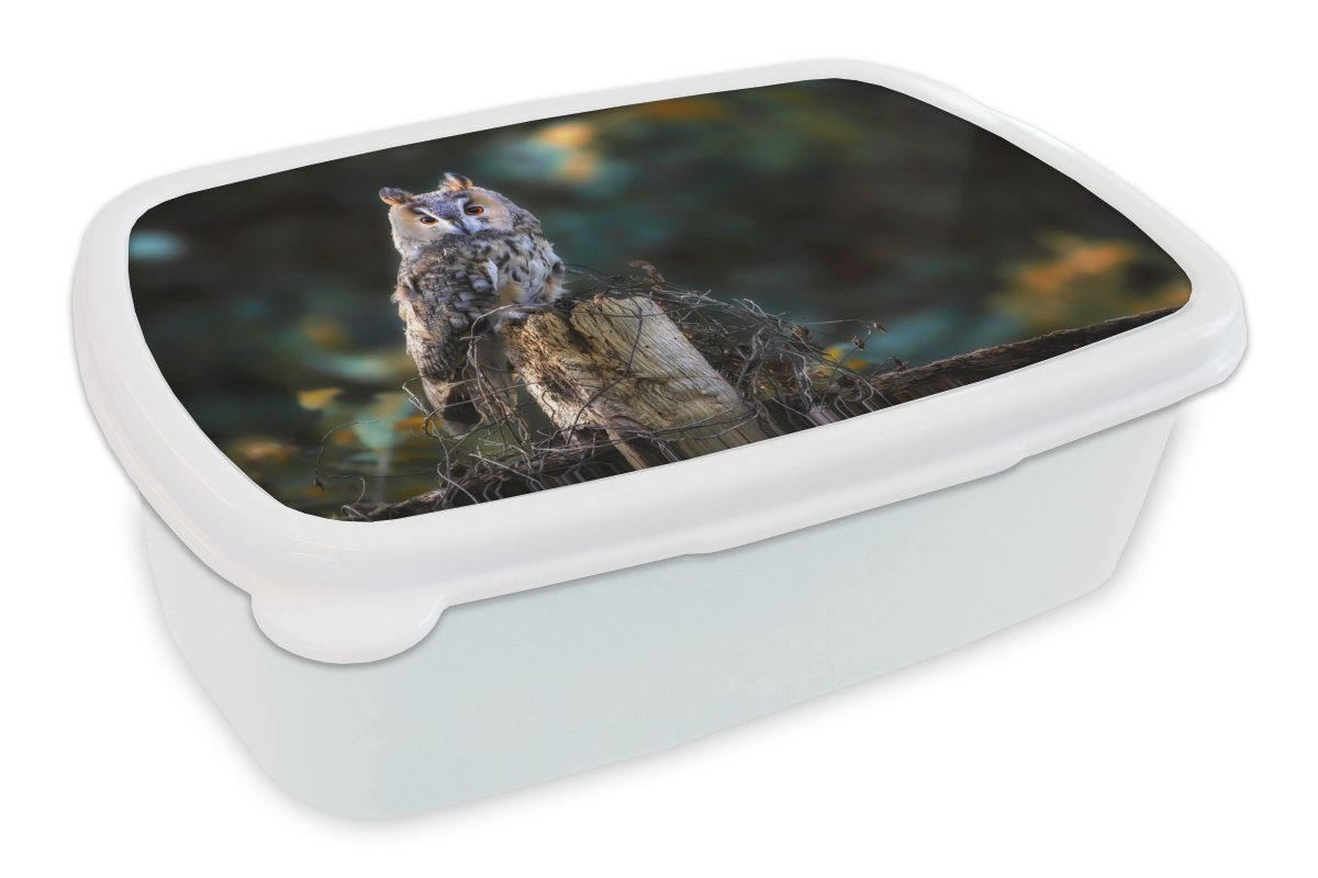 MuchoWow Lunchbox Eule - Herbst - Vogel - Äste, Kunststoff, (2-tlg), Brotbox für Kinder und Erwachsene, Brotdose, für Jungs und Mädchen weiß | Lunchboxen