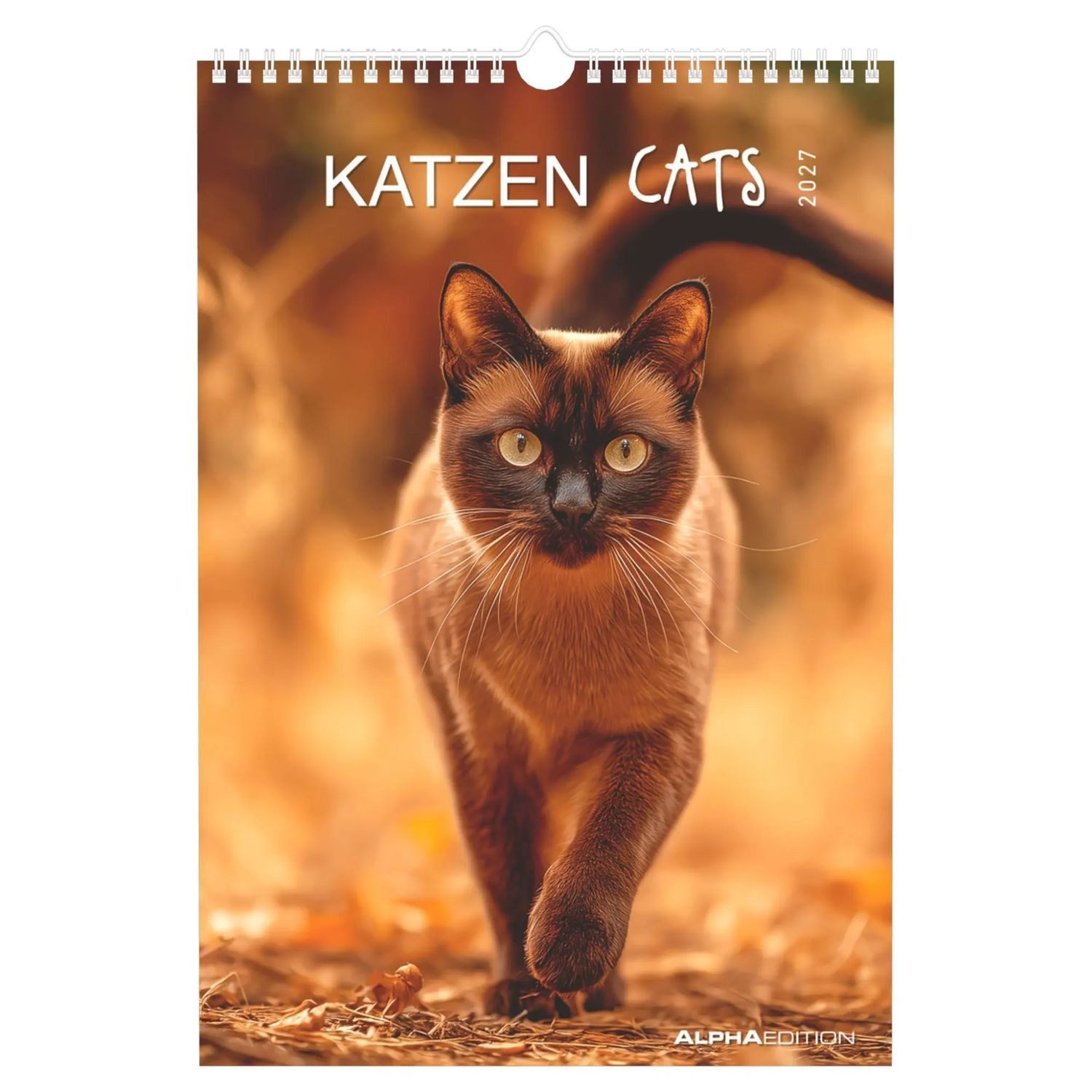 NEUMANN Wandkalender Katzen 2027