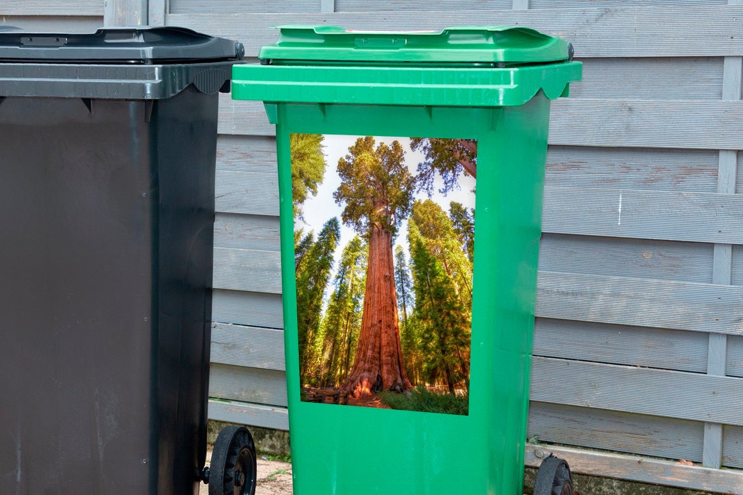 MuchoWow Wandsticker Nordamerika Container, im Sequoia-Nationalpark St), (1 Mülleimer-aufkleber, in Sticker, Abfalbehälter Sequoia-Bäume Mülltonne