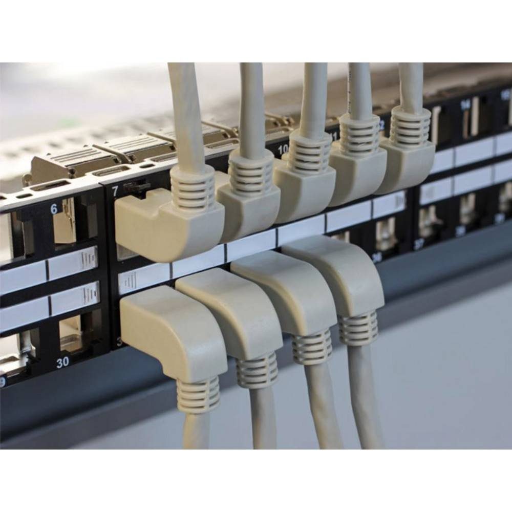 Kabel gewinkelt 0.5 m RJ45 Cat.6 gerade LAN-Kabel Delock / SSTP