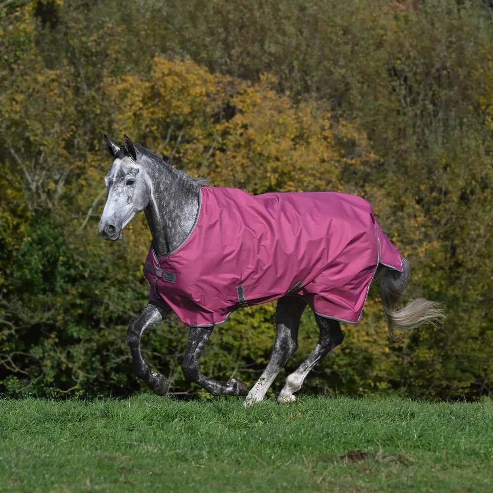 Bucas Pferde-Regendecke Bucas Freedom Turnout Light 0g