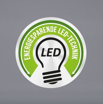 Fachhandel Plus LED Dekolicht LED Laterne mit realistischem Flammenspiel 2 in1, keine, LED