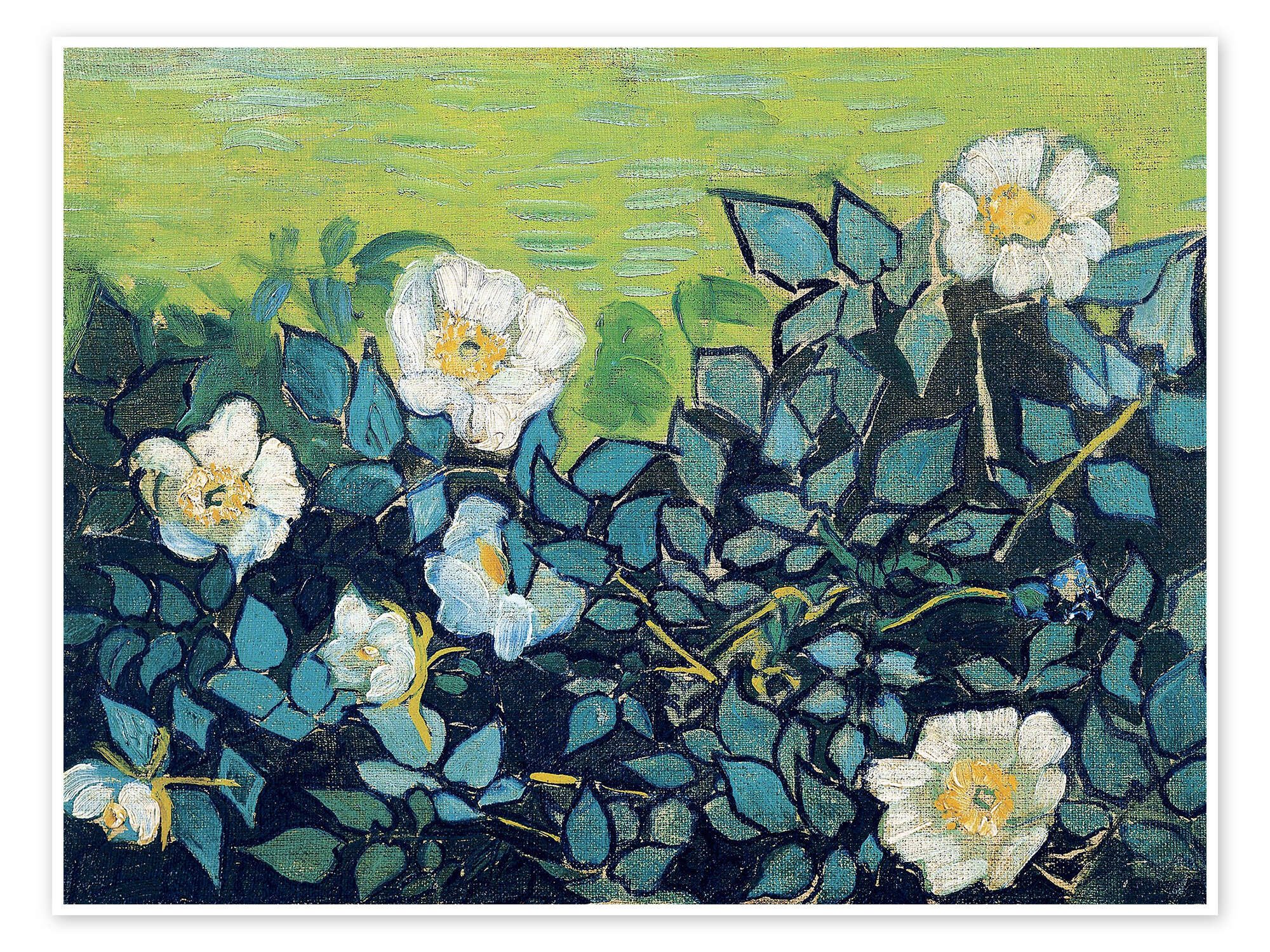 Posterlounge Wandbild Wilde Rosen, Vincent van Gogh, erhältlich als Poster, Leinwandbild, Wandsticker oder Acrylglasbild