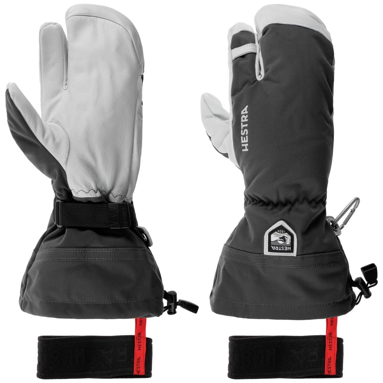 Skihandschuhe