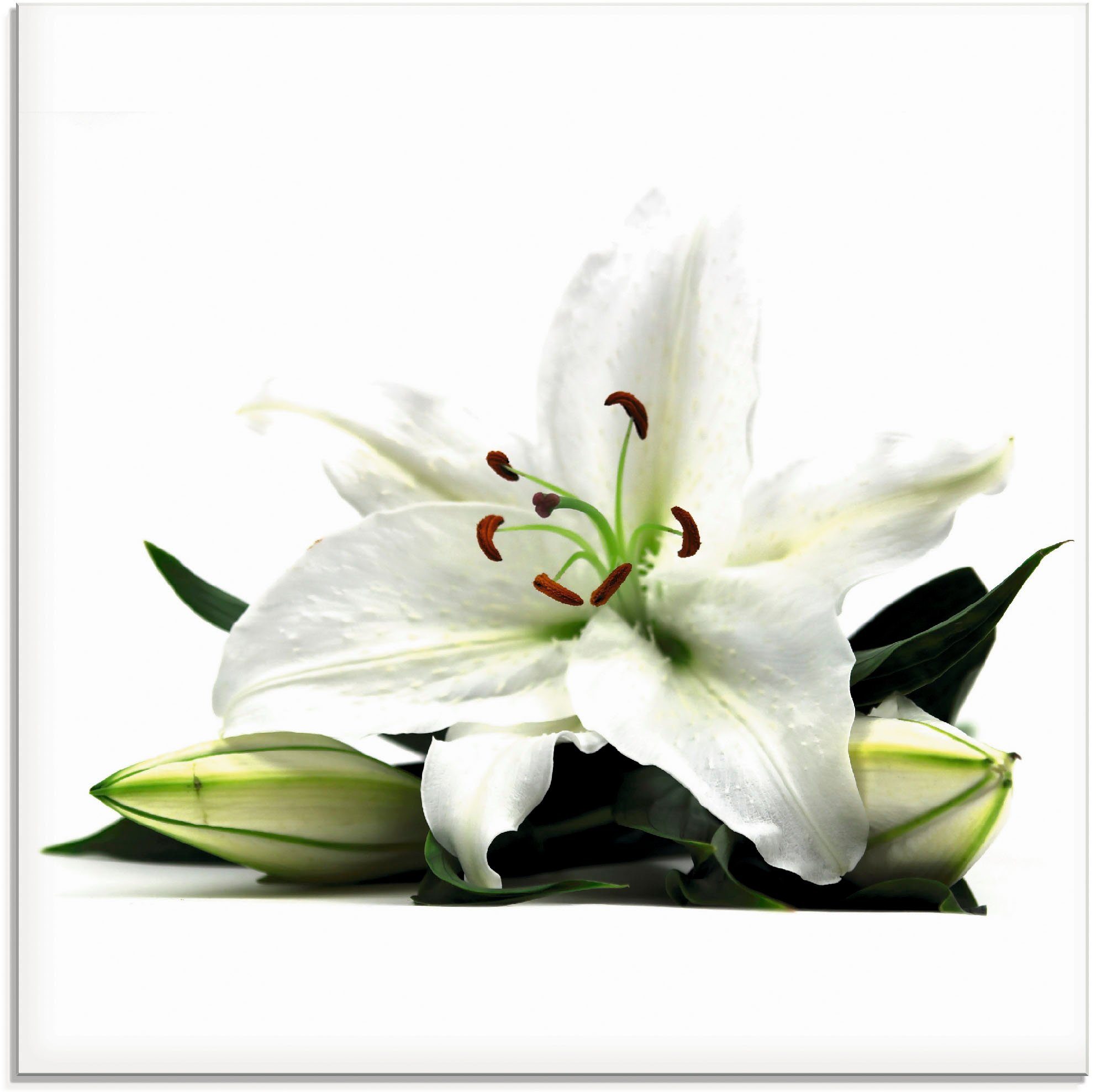 (1 Blumen Lilie, in St), Große Größen Artland verschiedenen Glasbild