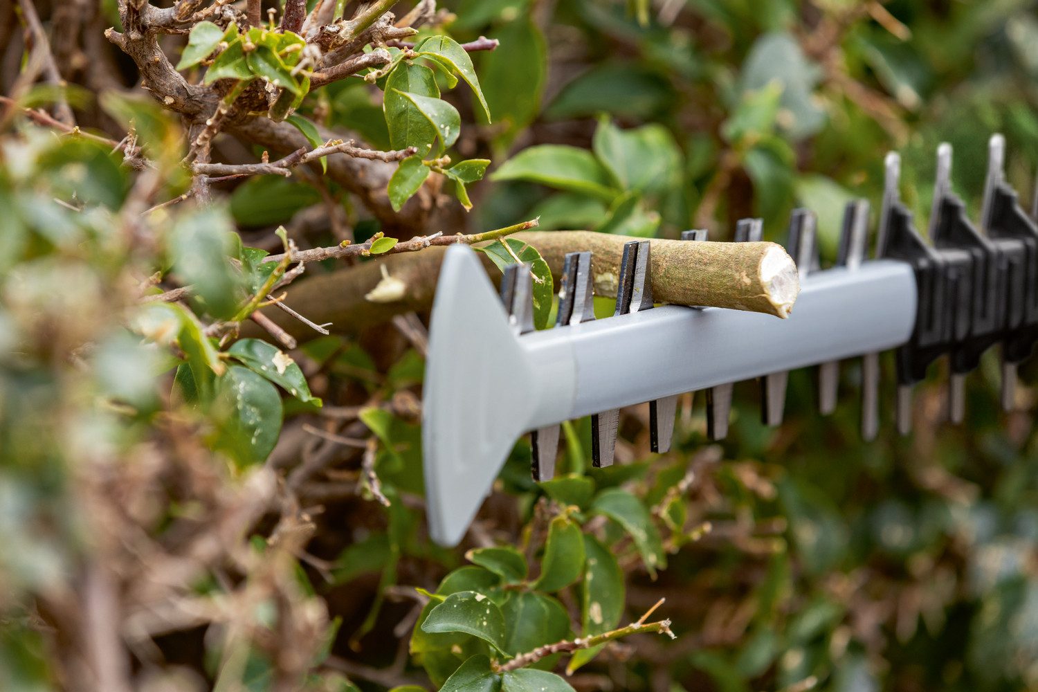 Bosch Professional Akku-Heckenschere »GHE 18V-60 Professional«, ohne Akku, ohne Ladegerät