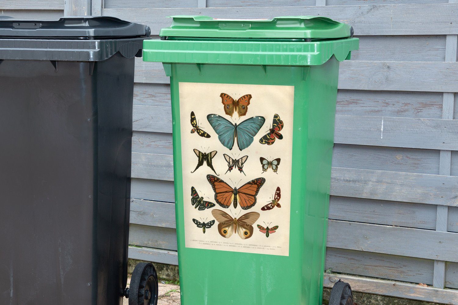 (1 St), - MuchoWow Vintage Container, Mülltonne, Bleistift - - Sticker, Abfalbehälter Wandsticker Mülleimer-aufkleber, Zeichnung Schmetterlinge
