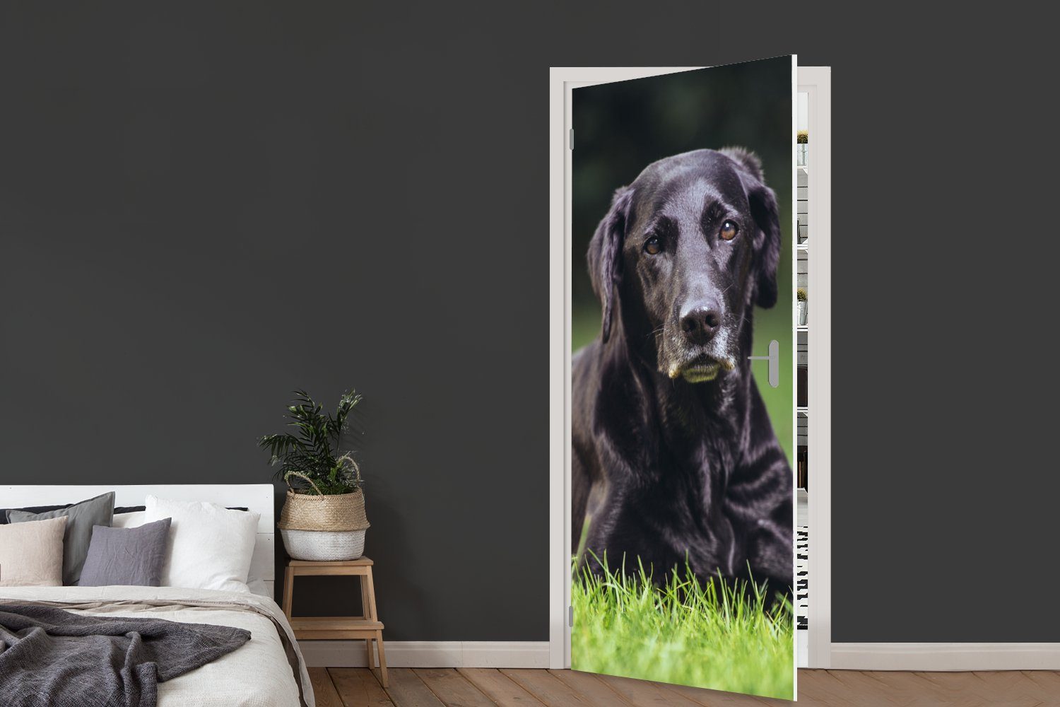 MuchoWow Türtapete Ein bedruckt, Türaufkleber, Fototapete schwarzer cm (1 Tür, für Gras, Labrador im Matt, 75x205 St)