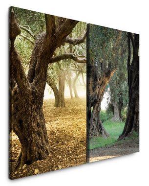 Sinus Art Leinwandbild 2 Bilder je 60x90cm Italien Olivenbäume Mediterran Wald Grün Idyllisch Friedsam