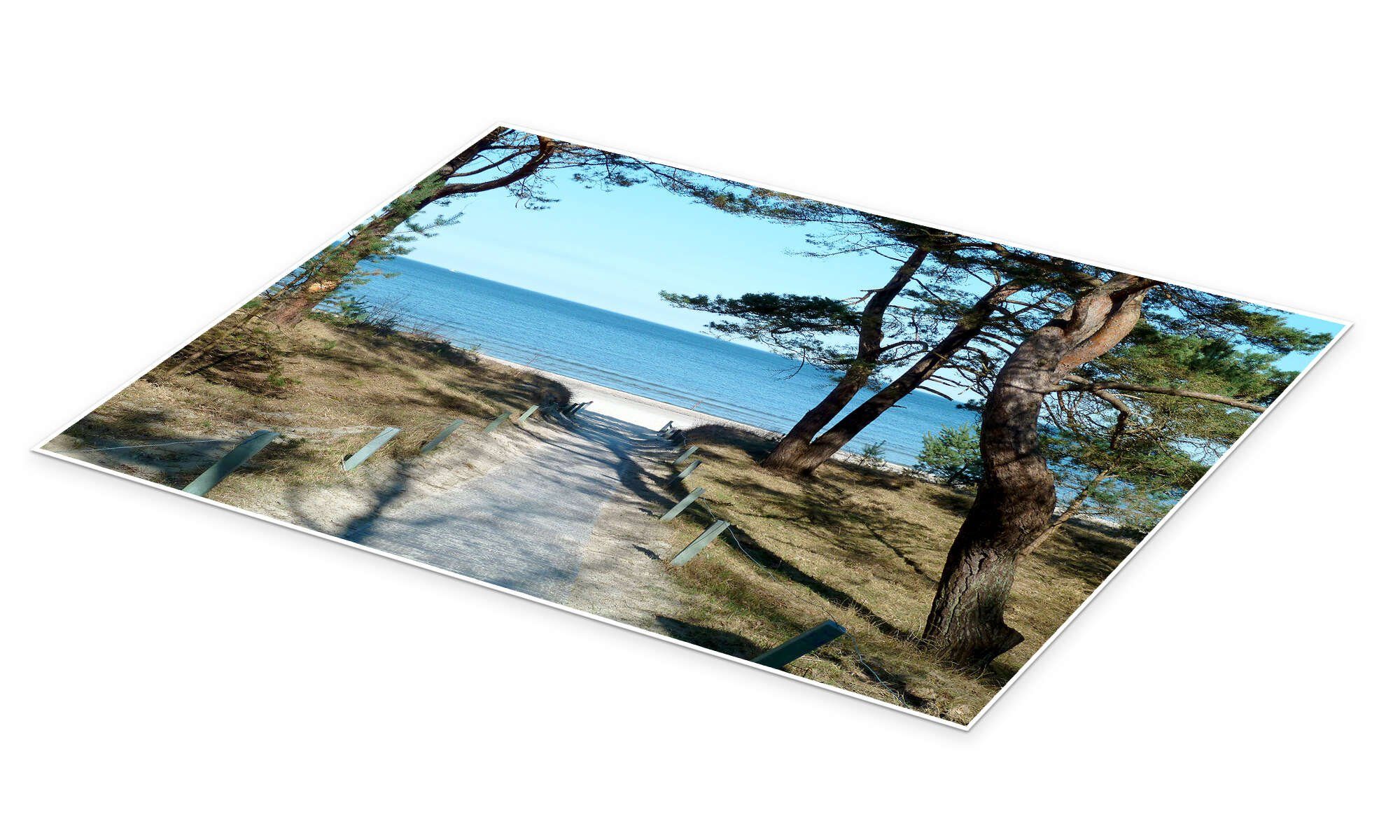 Posterlounge Wandbild Am Ostseestrand auf Rügen, Andrea Potratz, erhältlich als Poster, Leinwandbild, Wandsticker oder Acrylglasbild
