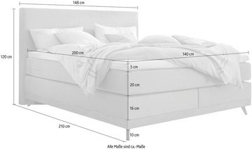 HASENA Boxspringbett Scandia, Boxspringbett, gepolstertes Kopfteil, Scandi Look, Füsse Eiche bianco