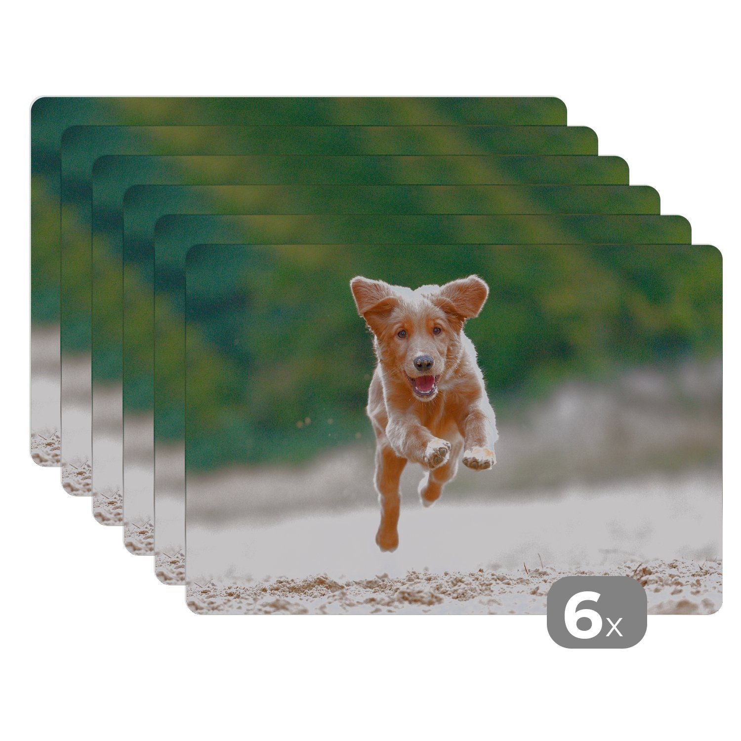Platzset, Laufender Hund Foto, MuchoWow, Platzset, (6-St), Schmutzabweisend Tischmatten, Platzdecken, Platzmatte