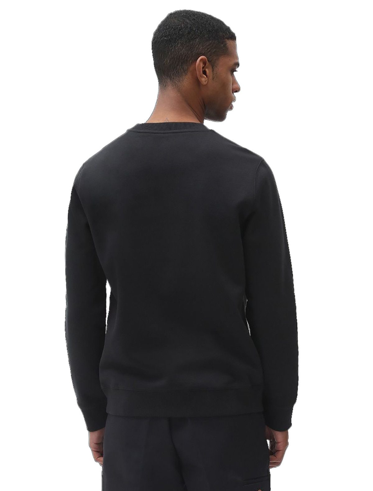 Dickies Sweater Oakport (1-tlg., kein Set) Ikonisches, gewebtes Dickies-Logo auf der Brust