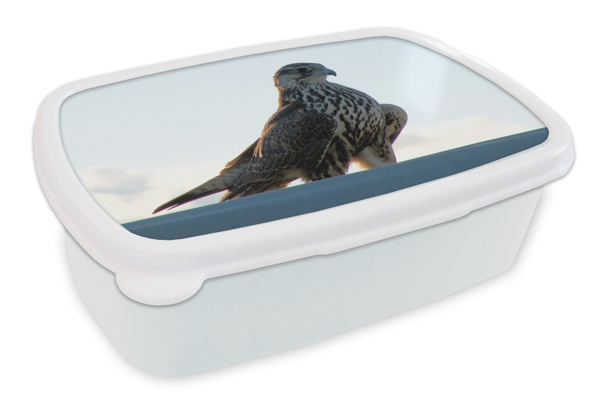 MuchoWow Lunchbox Falke - Portugal - Vogel, Kunststoff, (2-tlg), Brotbox für Kinder und Erwachsene, Brotdose, für Jungs und Mädchen weiß