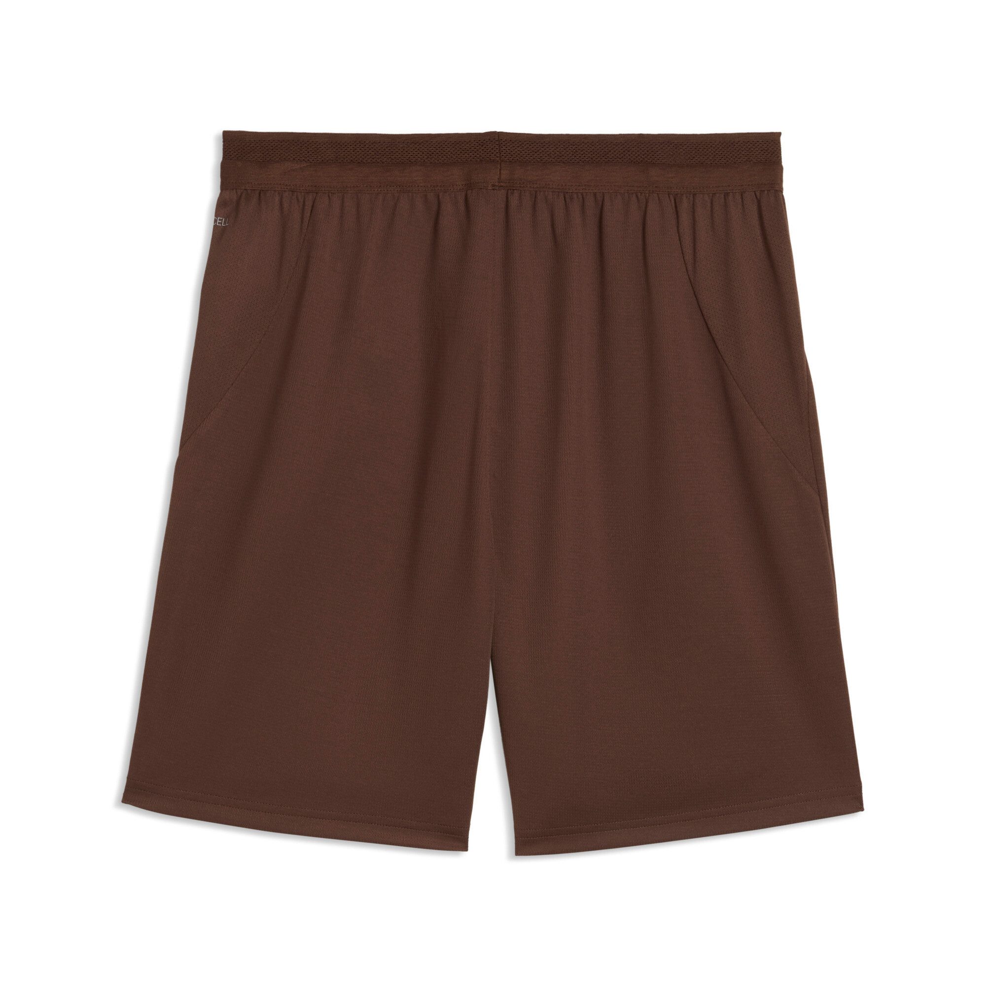 PUMA Trainingsshorts FCSP SHORTS REPLICA Regular Fit, für Fußball, sportlicher Stil, mit DryCELL-Technologie
