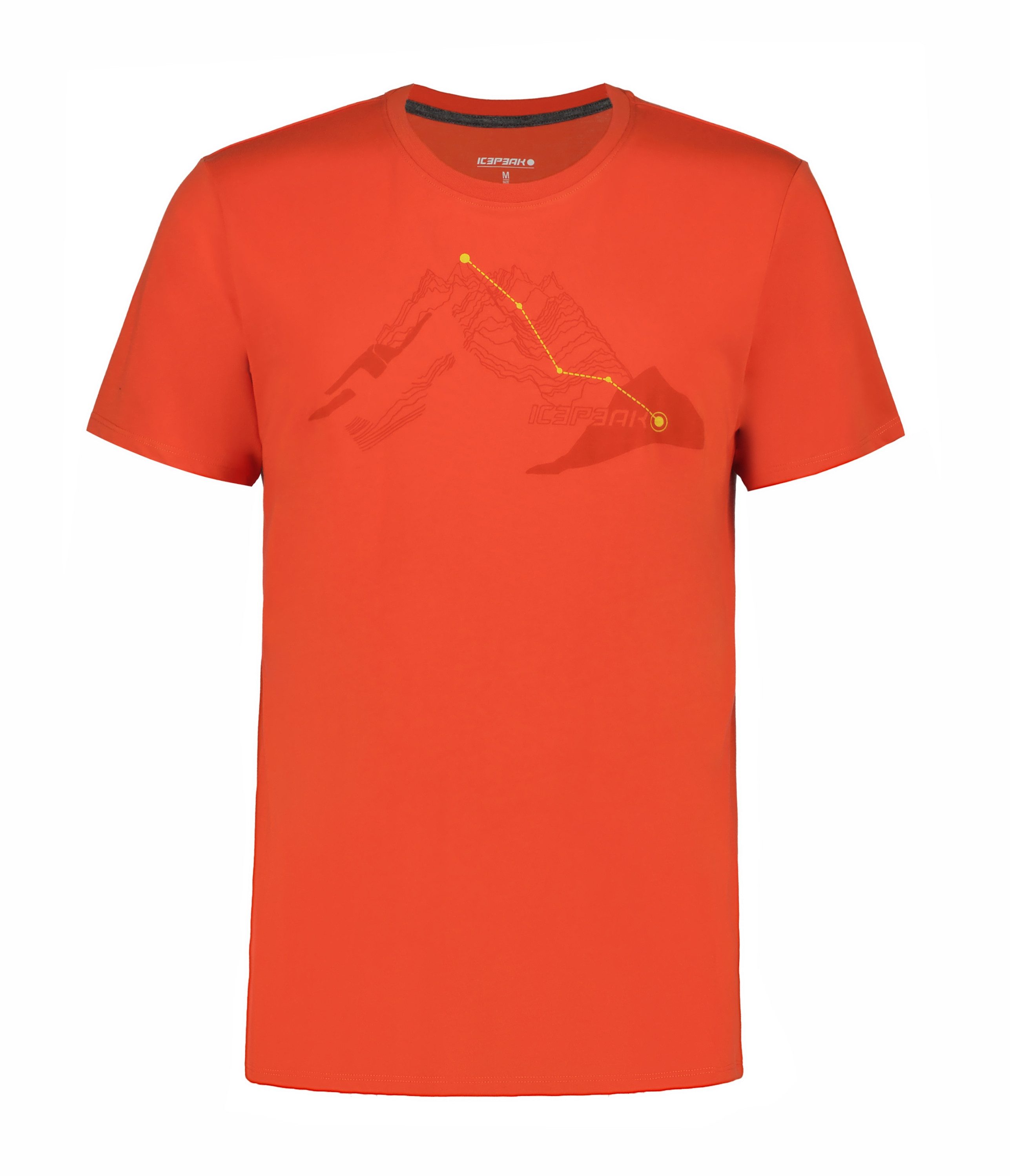 Icepeak T-Shirt T-Shirt Herren Beeville orange