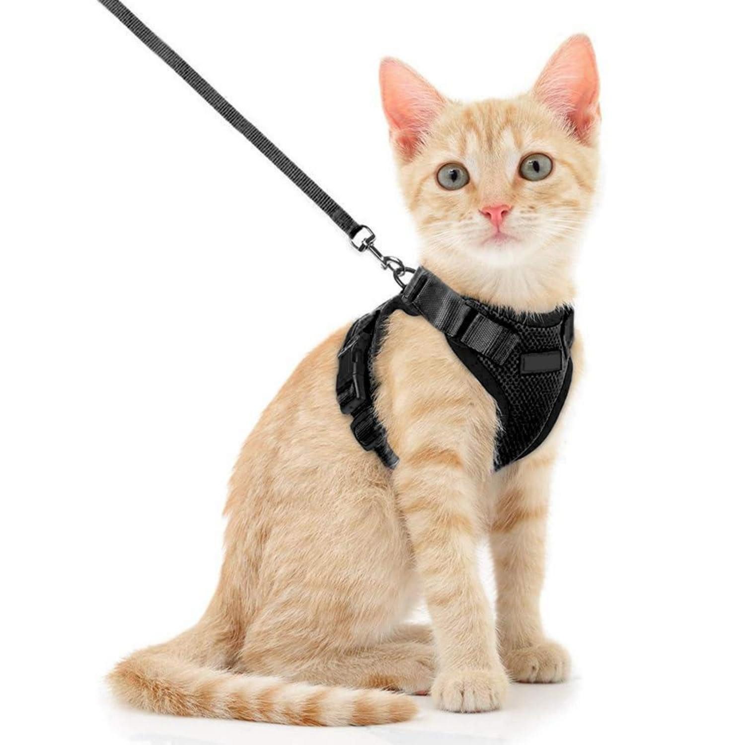 LuxusKollektion Katzen-Geschirr Katzengeschirr mit Leine S Schwarz, Kunststoff