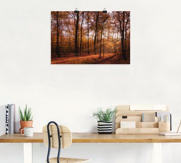 Artland Wandbild Sonnenaufgang im Herbst II, Wald (1 St), als Alubild, Outdoorbild, Leinwandbild, Poster, Wandaufkleber