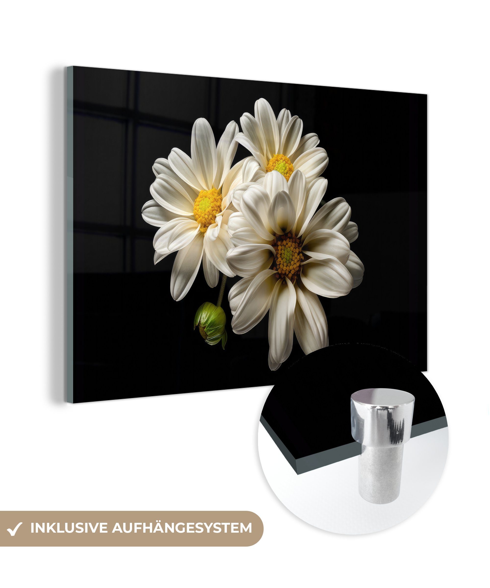 MuchoWow Acrylglasbild Blumen - Gänseblümchen - Weiß - Botanisch - Natur, (1 St), Glasbilder - Bilder auf Glas Wandbild - Foto auf Glas - Wanddekoration