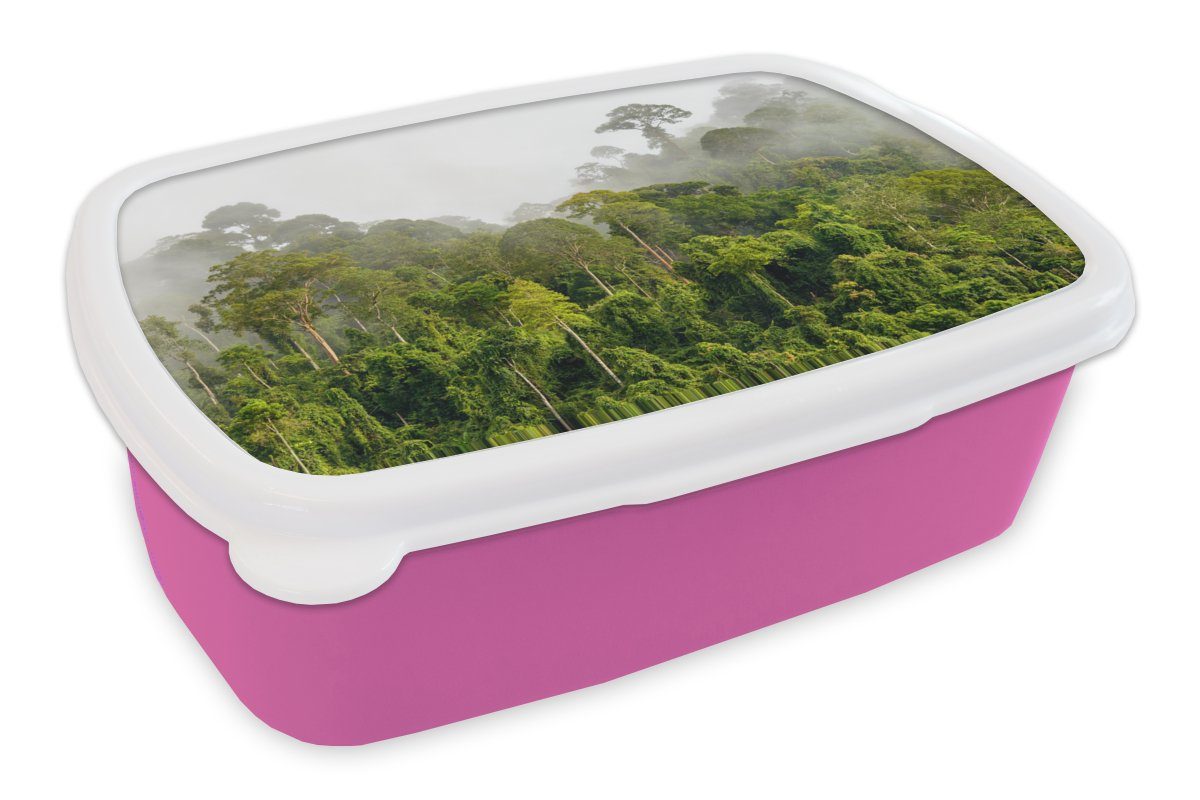 Nebel Erwachsene, MuchoWow Mädchen, Lunchbox für Kinder, (2-tlg), Snackbox, - - Dschungel - Kunststoff, Brotbox Baum rosa Kinder, Kunststoff - Mädchen Brotdose