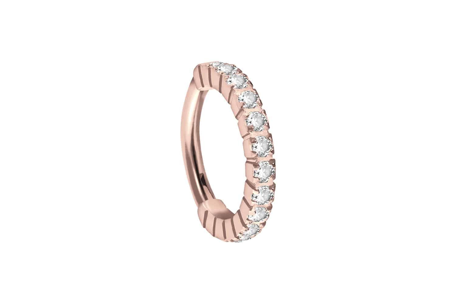 Nasenpiercing Titan Segmentring Clicker EINGEFASSTE KRISTALLE Ohrpiercing Septum