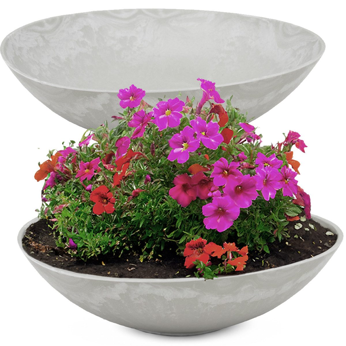 matches21 HOME & HOBBY Blumentopf Pflanzschalen günstig online kaufen
