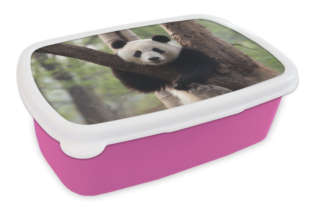 MuchoWow Lunchbox Panda - Baum - Wald, Kunststoff, (2-tlg), Brotbox für Erwachsene, Brotdose Kinder, Snackbox, Mädchen, Kunststoff rosa