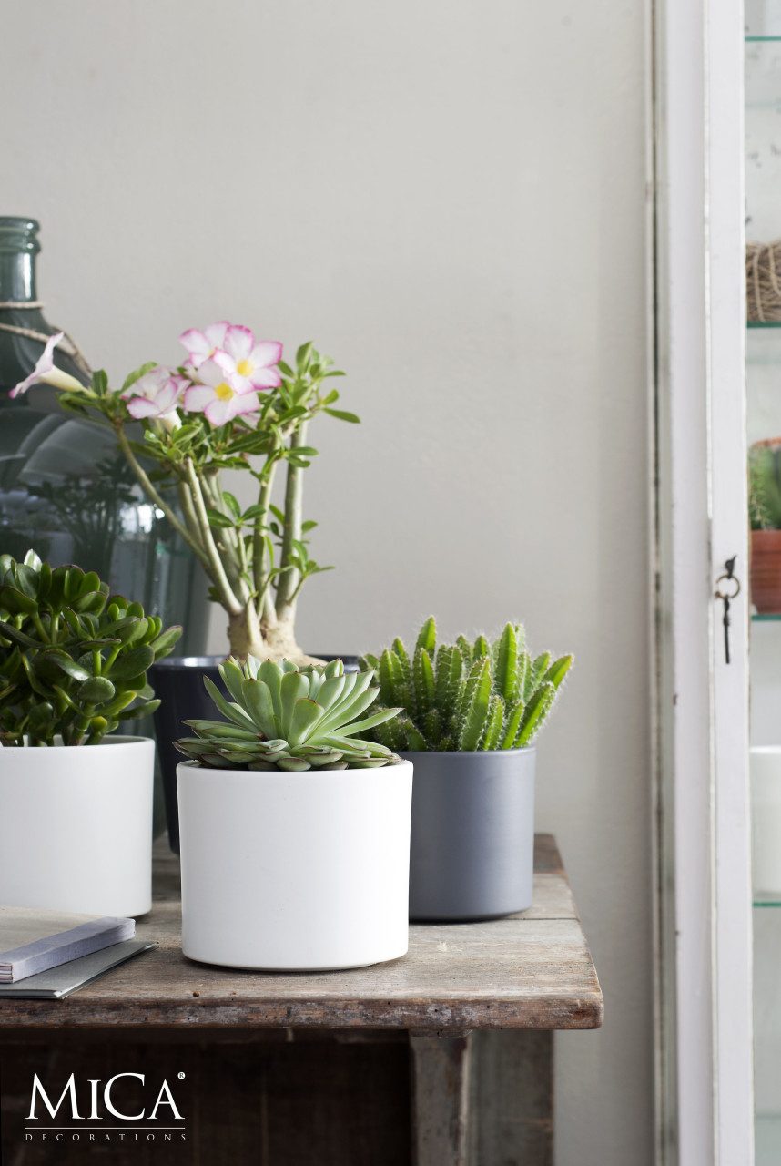 Mica Decorations Blumentopf Mica Decorations Blumentopf Keramik Era Ø 32,5 günstig online kaufen