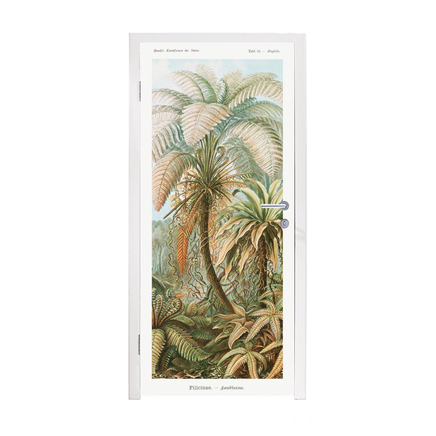 MuchoWow Türtapete Vintage - Alte Meister - Farne - Pflanzen - Natur, Matt, bedruckt, (1 St), Fototapete für Tür, Türaufkleber, 75x205 cm