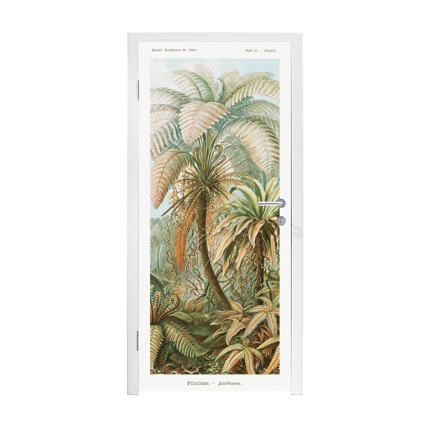 MuchoWow Türtapete Vintage - Alte Meister - Farne - Pflanzen - Natur, Matt, bedruckt, (1 St), Selbstklebende Tapete, Folie für Möbel, 75x205 cm