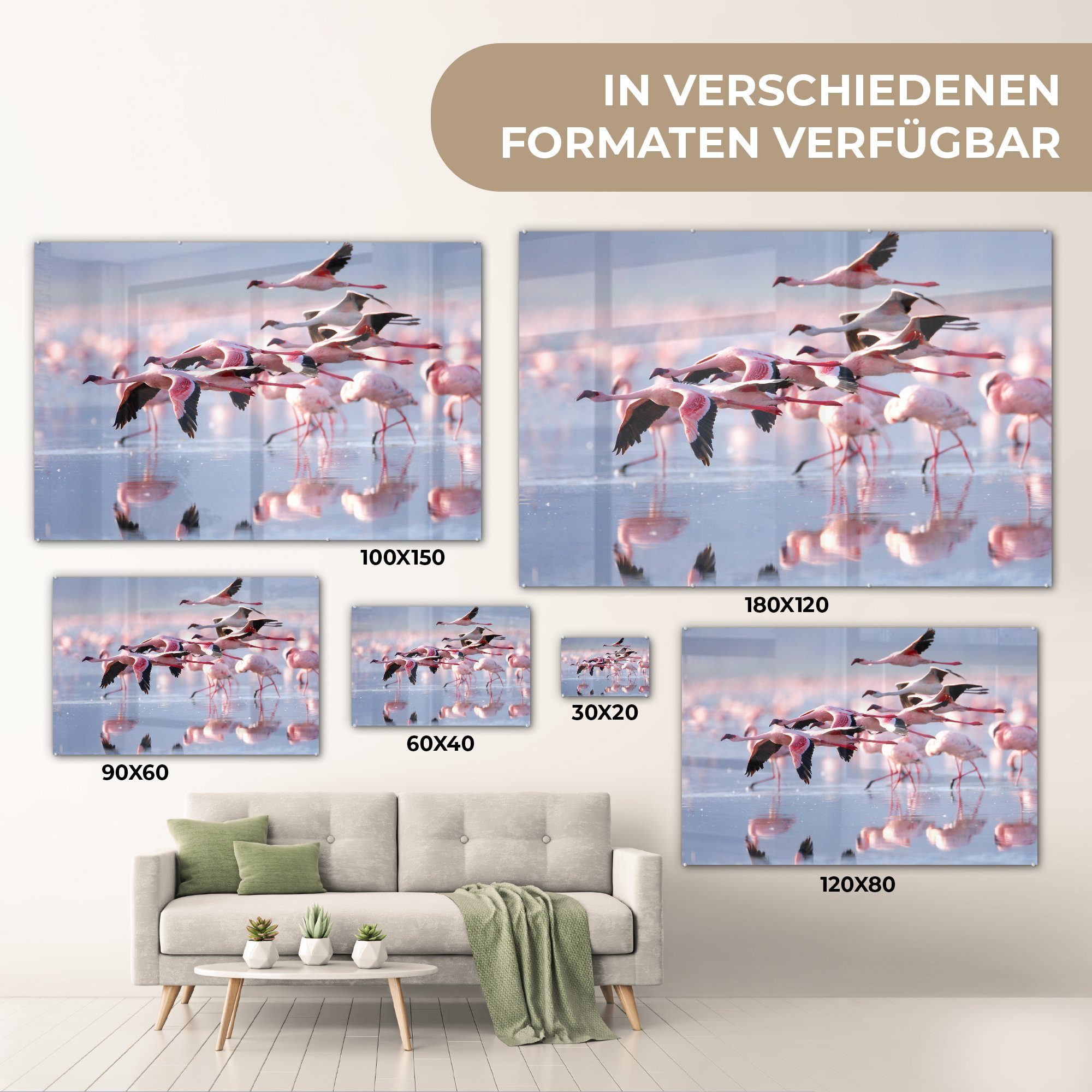 MuchoWow Acrylglasbild Rosa Wasser, Wohnzimmer St), Schlafzimmer & dem Acrylglasbilder Flamingos auf (1