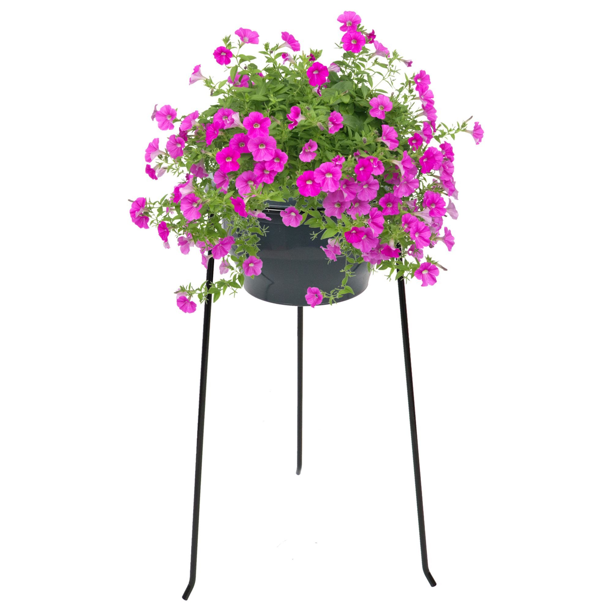 Rivanto Blumenständer, Hoch für Töpfe bis günstig online kaufen