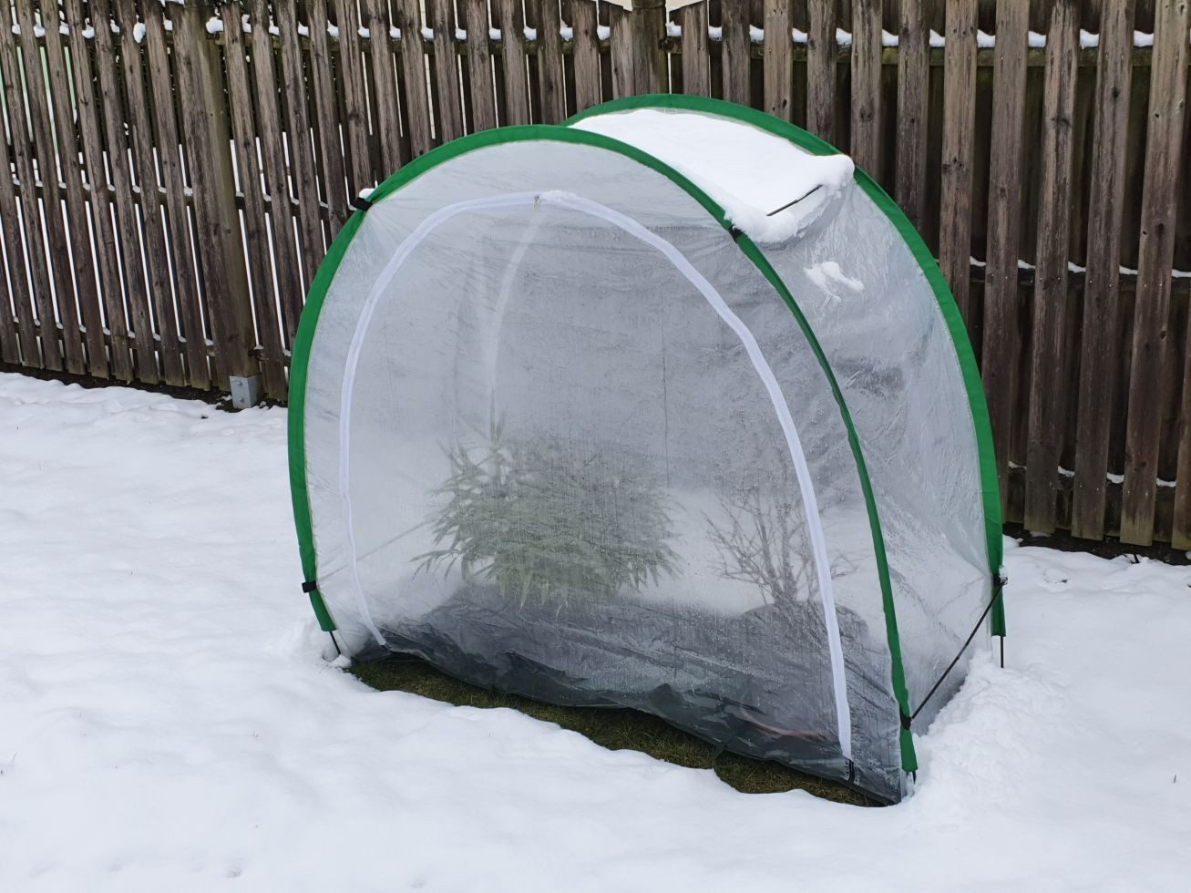 Bio Green Winterschutzvlies Bio Green Überwinterungszelt Pflanzen Arctic 186 x