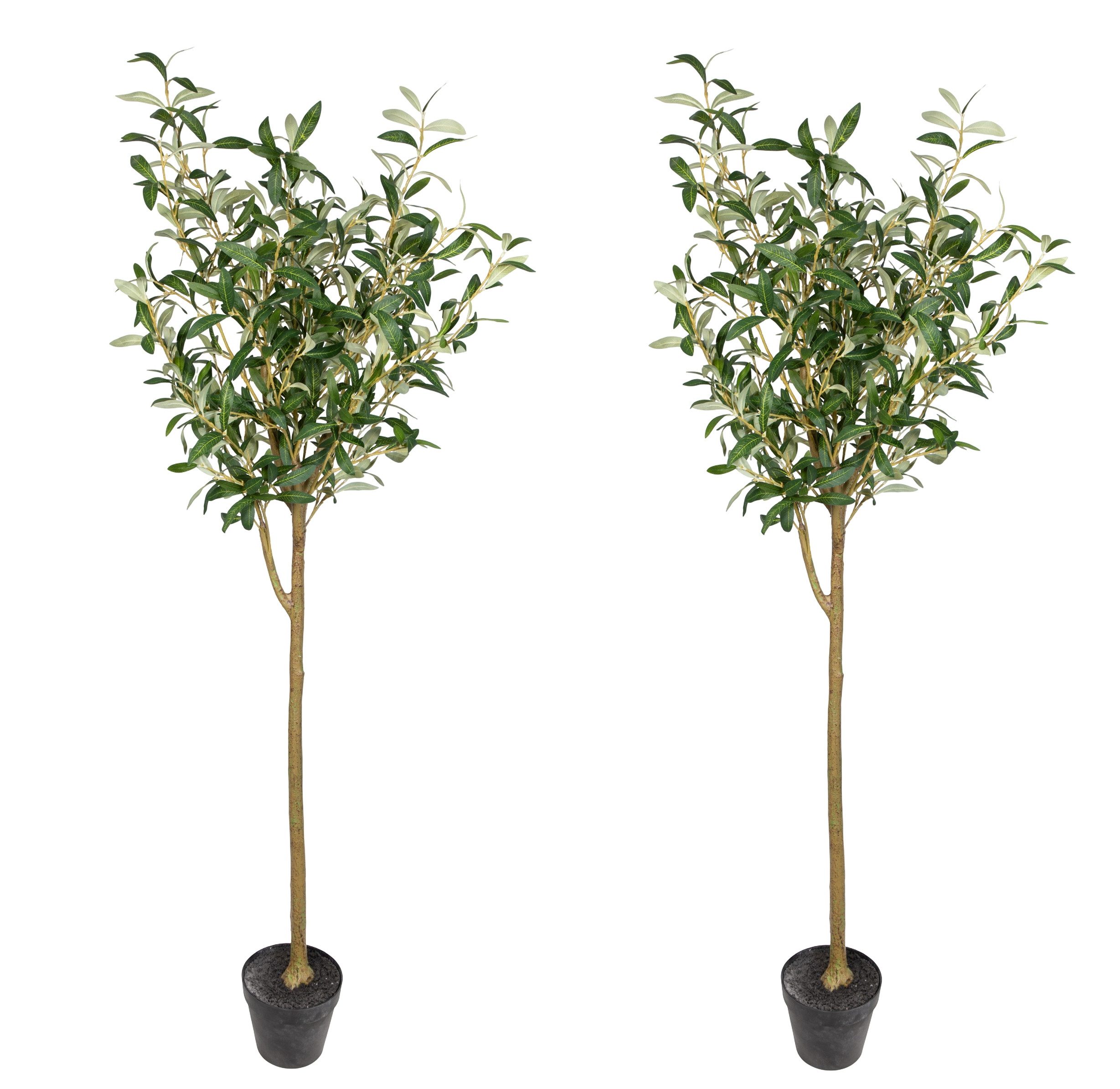 Kunstbaum 2 Stück Olivenbaum im Topf ZF Kunstbaum künstlicher Baum Dekobaum Olive, Seidenblumen Roß, Höhe 150 cm