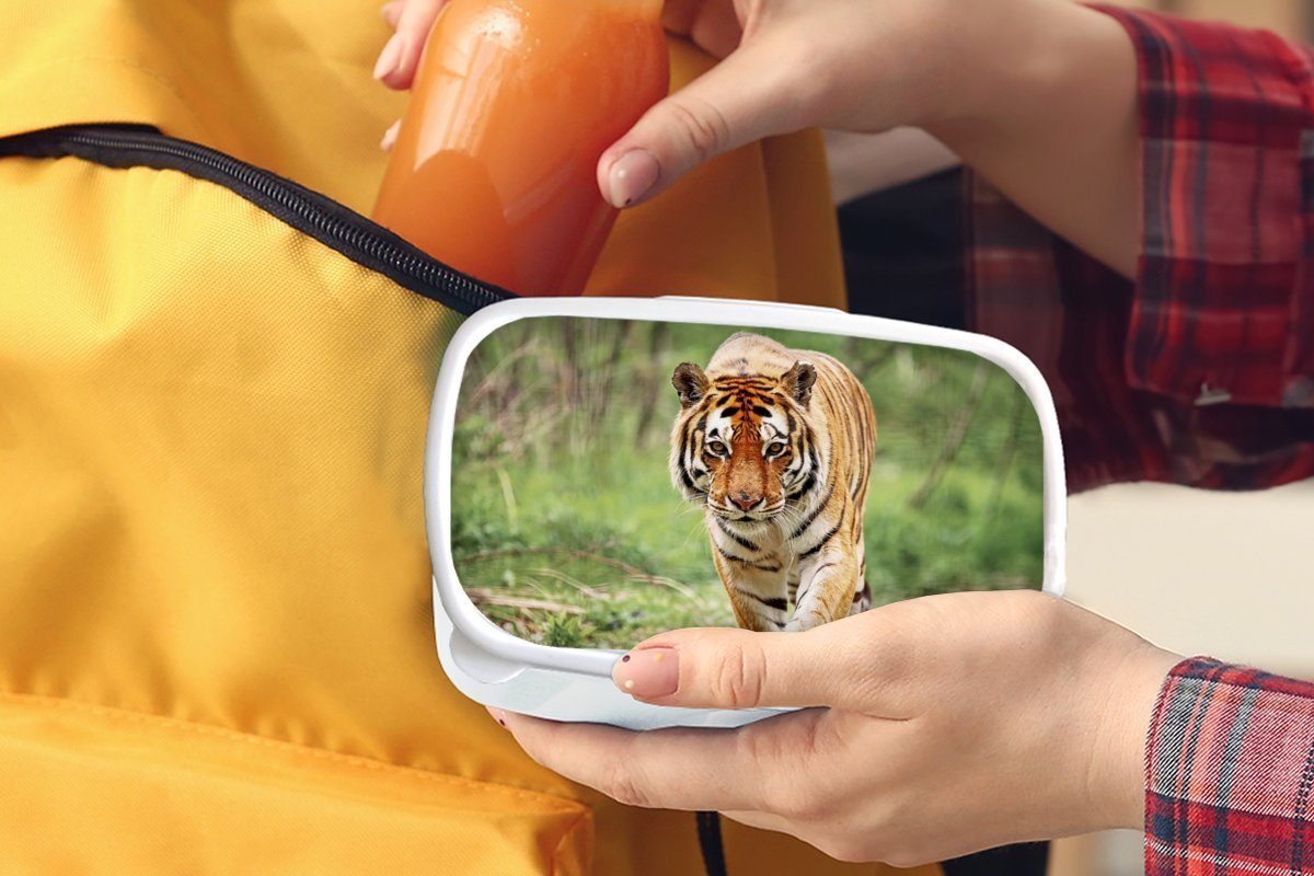 MuchoWow Lunchbox Tiger - für Erwachsene, für Brotdose, - Mädchen Kinder Brotbox (2-tlg), und weiß Wald und Laufen, Jungs Kunststoff