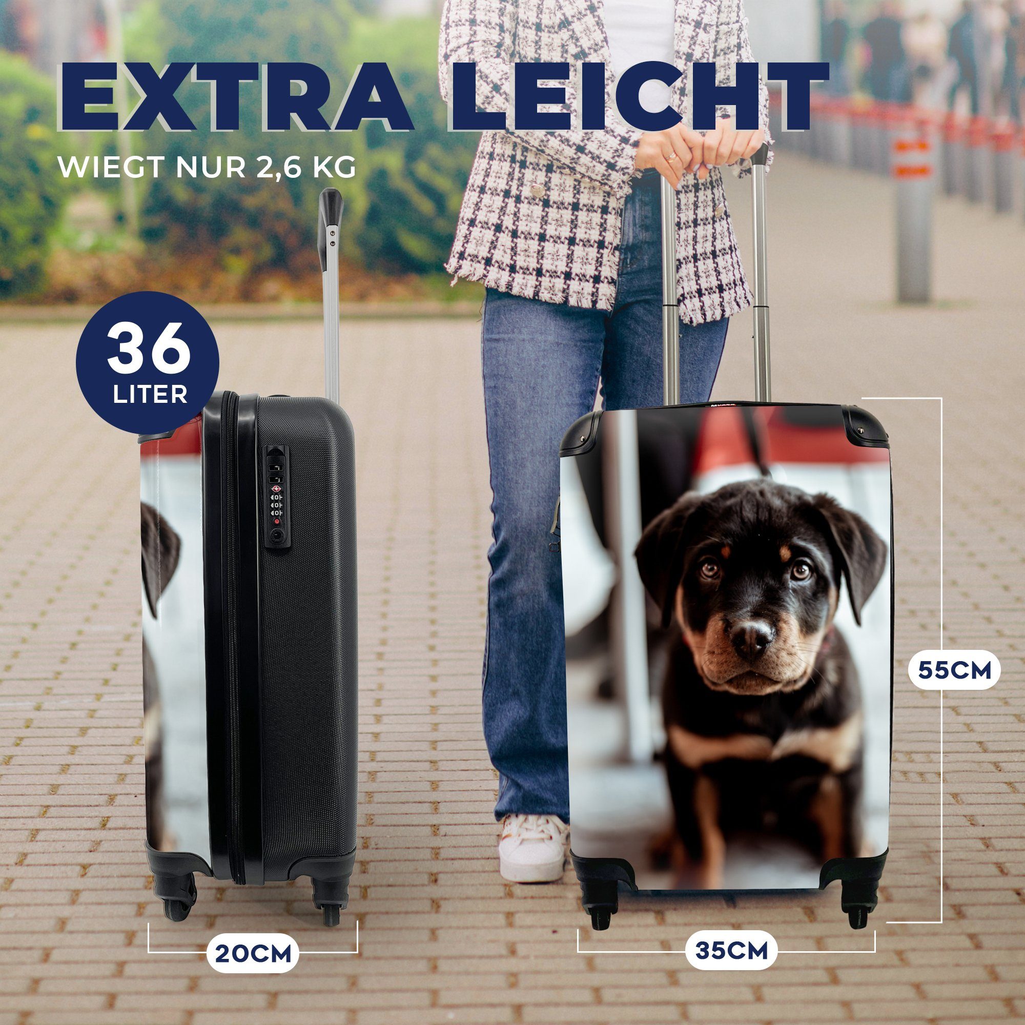 Trolley, Reisetasche - mit für 4 Handgepäckkoffer MuchoWow Reisekoffer - Ferien, Hund Kamera, rollen, Rollen, Handgepäck Jung