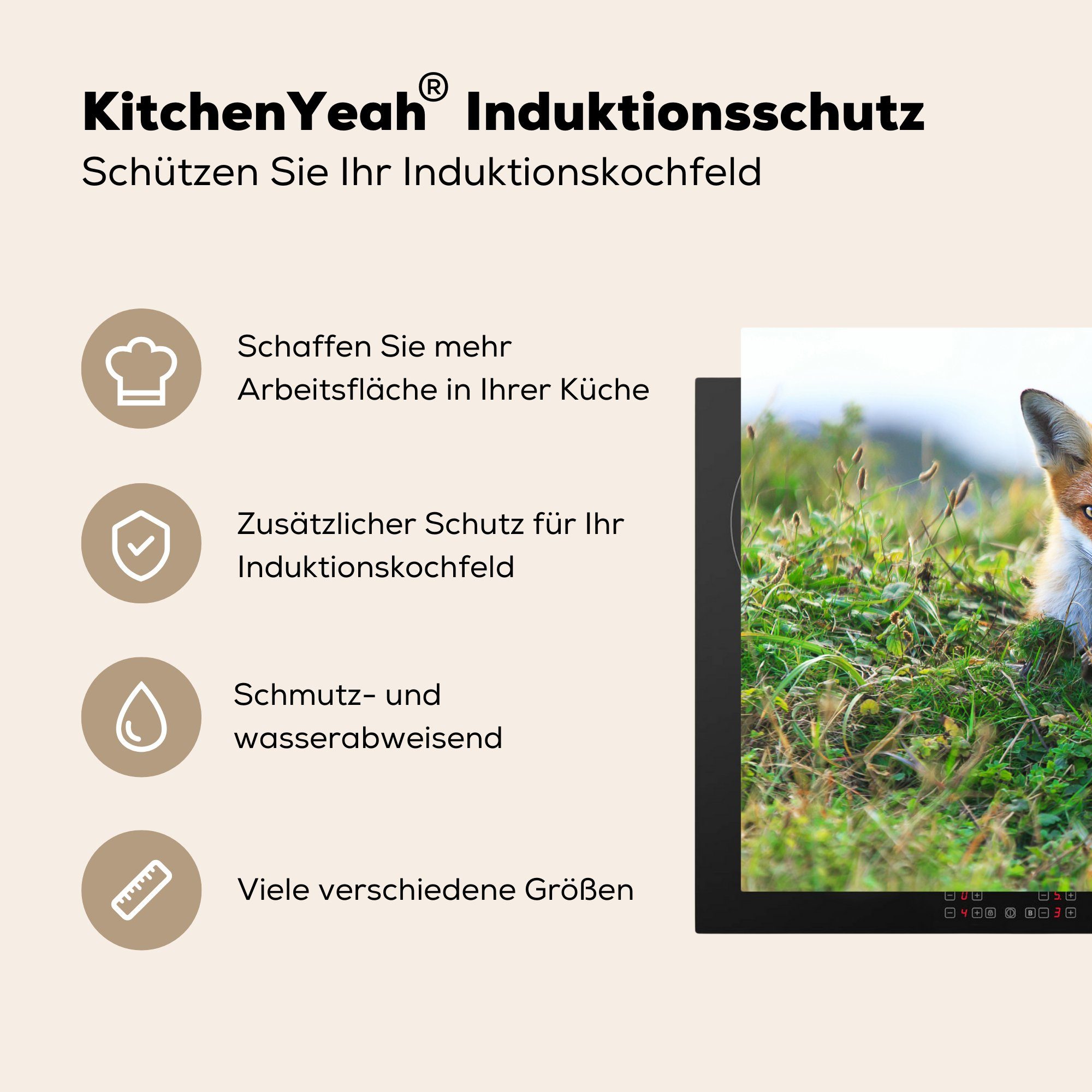 MuchoWow Herdblende-/Abdeckplatte Fuchs - Gras Ceranfeldabdeckung küche, Pflanzen, cm, die Induktionskochfeld Schutz für Vinyl, - 71x52 (1 tlg)