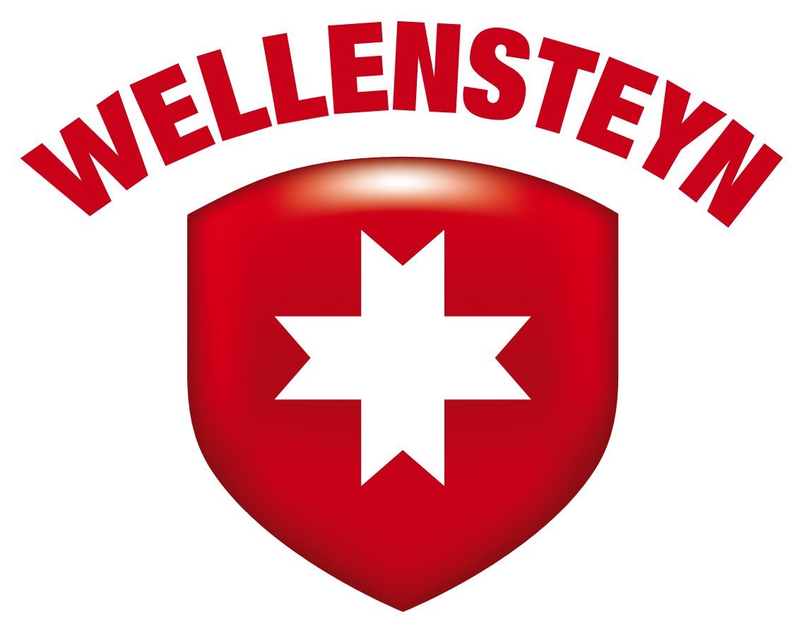 Wellensteyn