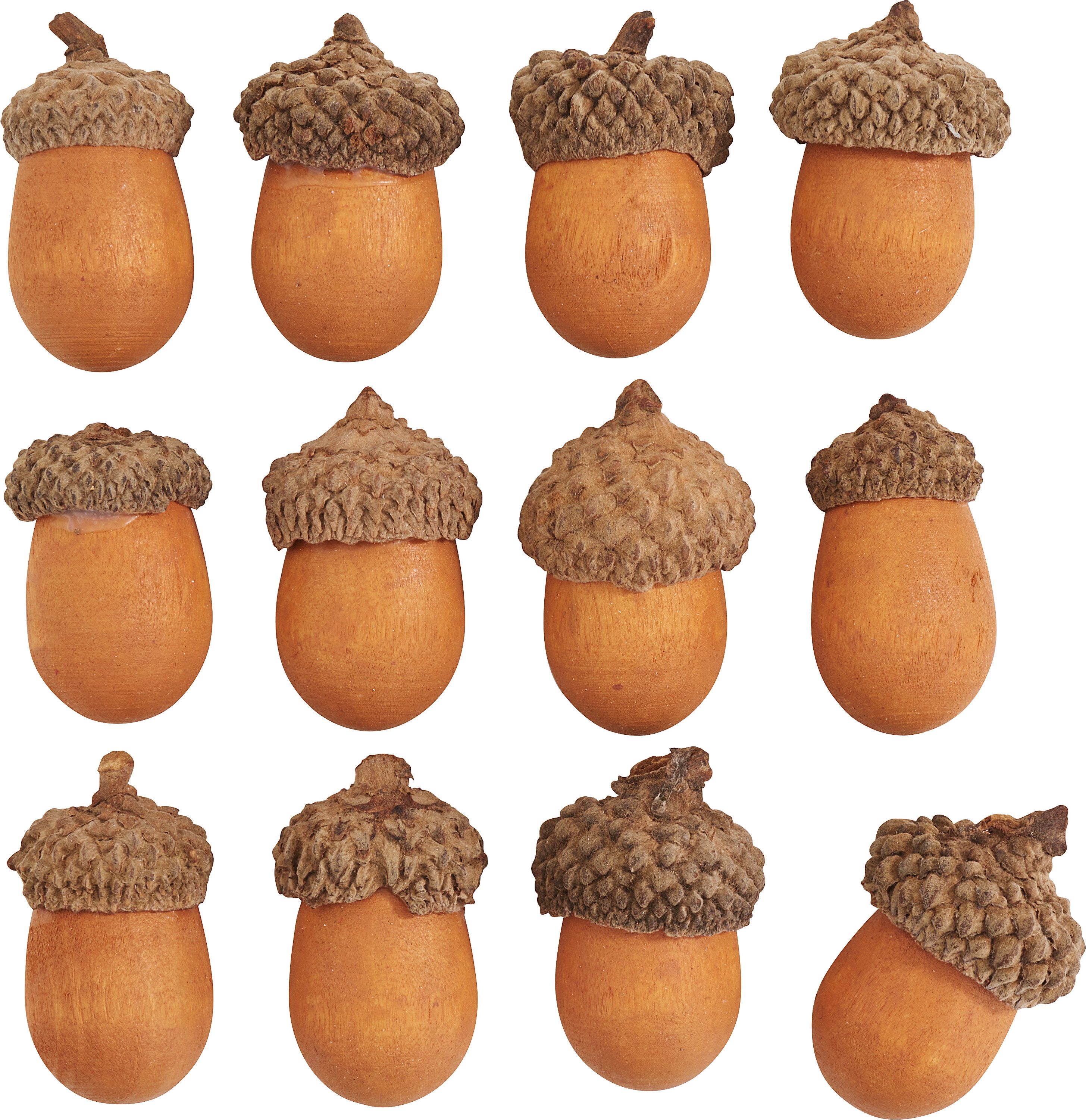 VBS Streudeko Eicheln, 12 Stück