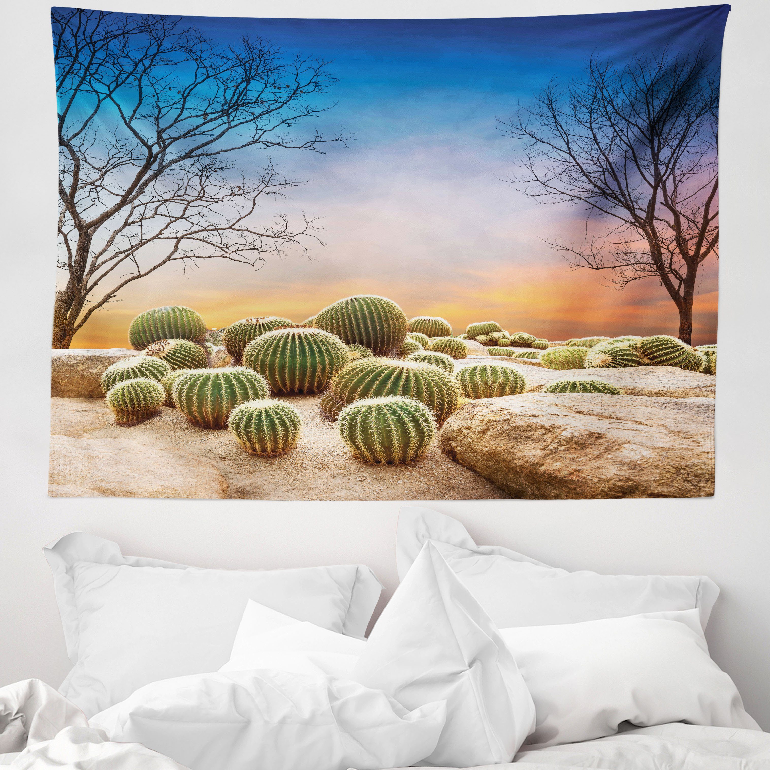 Wandteppich aus Weiches Mikrofaser Stoff Für das Wohn und Schlafzimmer,  Abakuhaus, rechteckig, Mexiko Cactus Ball auf Berg