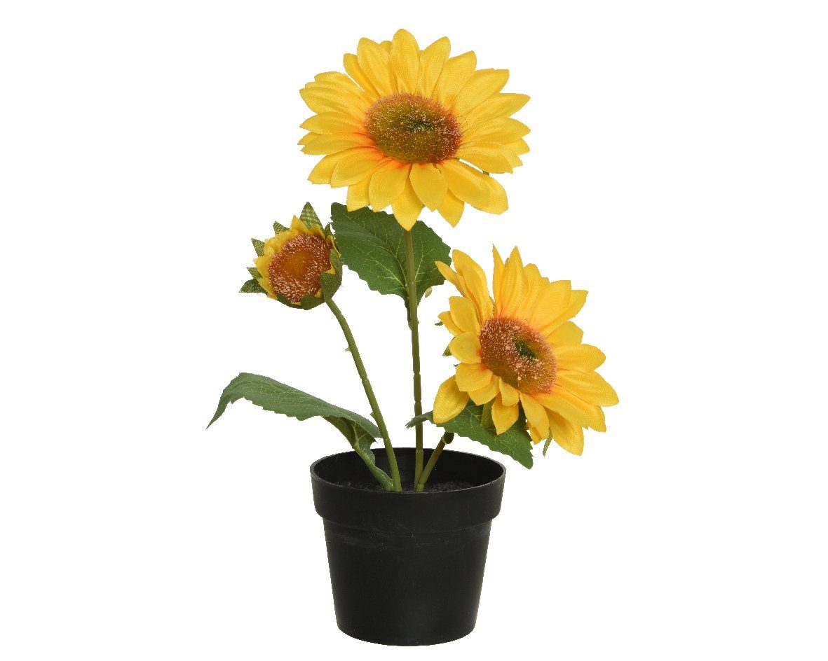 Topf 24cm Decoris Sonnenblume Kunstblume, decorations, gelb im Kunstblumen season