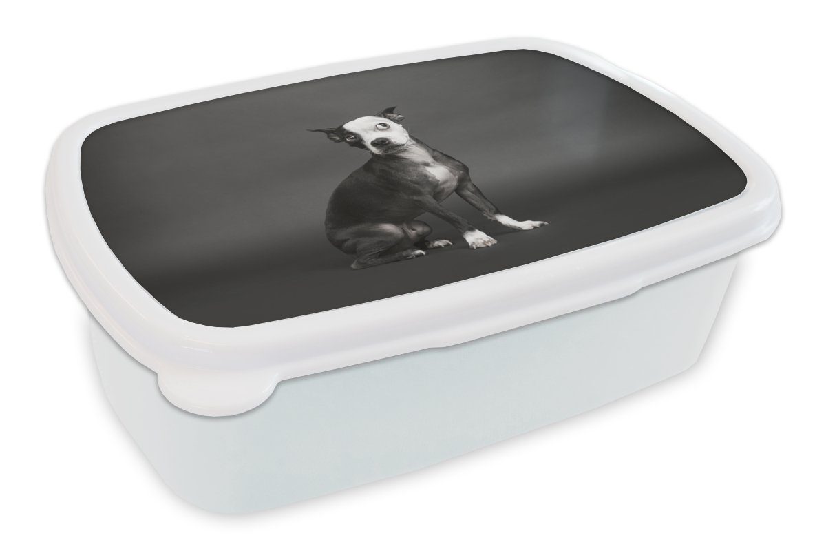 MuchoWow Lunchbox Hund - Spot - Porträt, Kunststoff, (2-tlg), Brotbox für Kinder und Erwachsene, Brotdose, für Jungs und Mädchen weiß