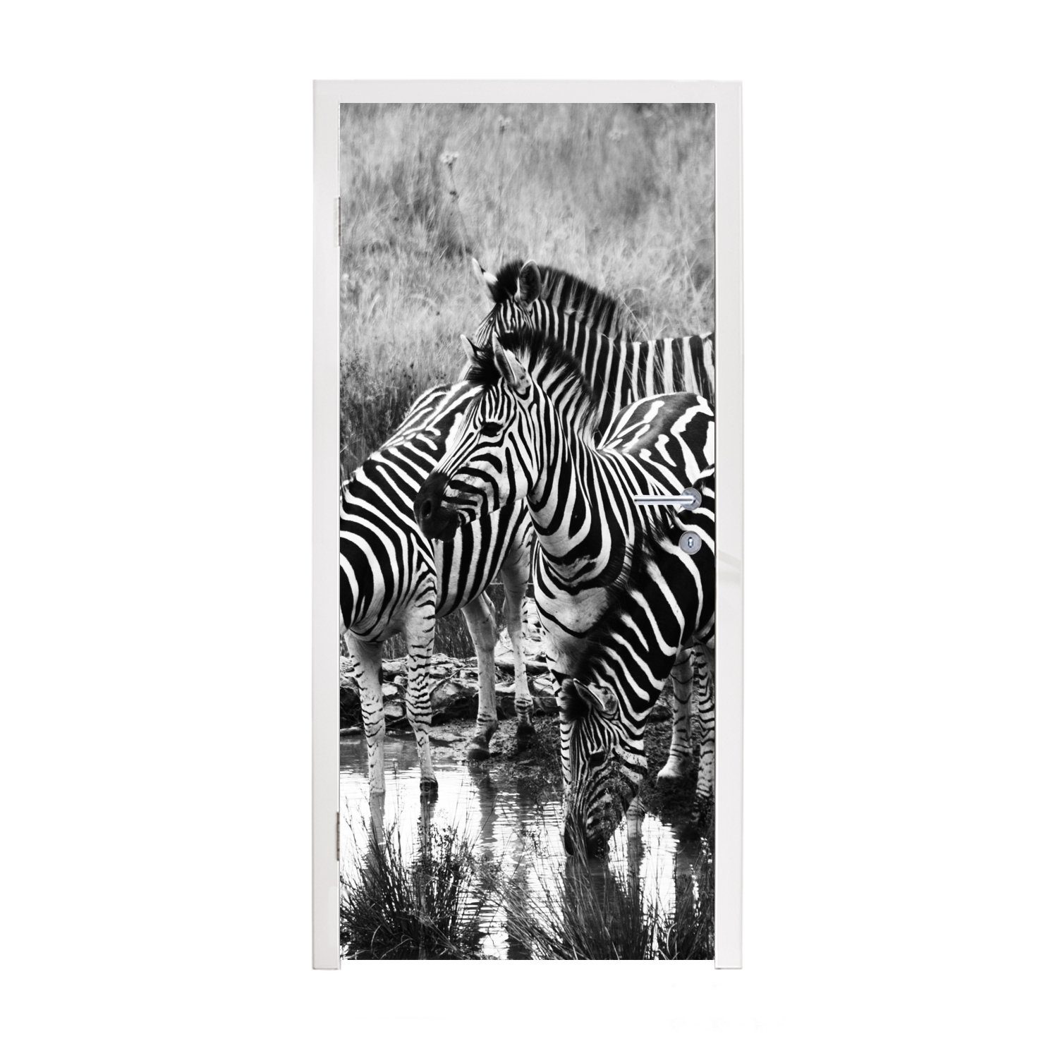 MuchoWow Türtapete Trinkende Zebras, Matt, bedruckt, (1 St), Fototapete für Tür, Türaufkleber, 75x205 cm