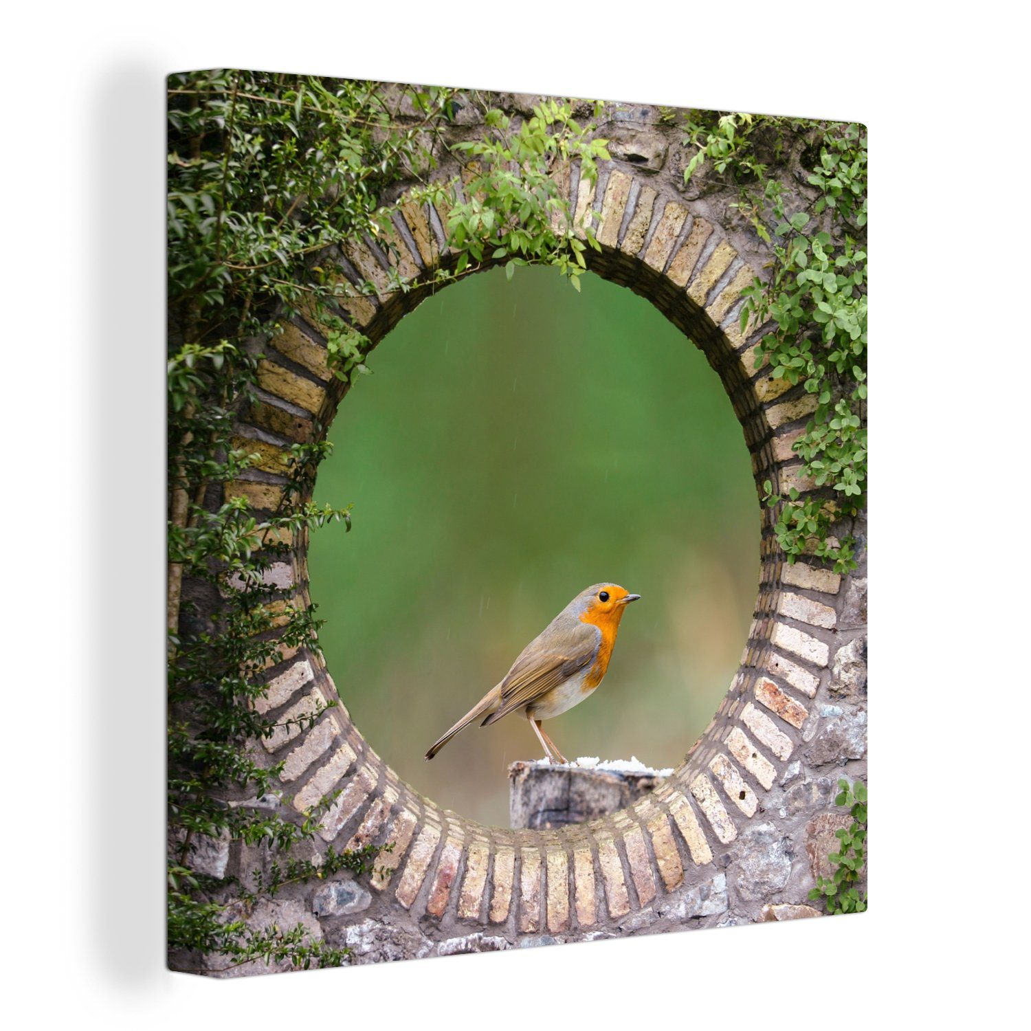 OneMillionCanvasses® Leinwandbild Vogel - Durchblick - Rotkehlchen, (1 St), Leinwand Bilder für Wohnzimmer Schlafzimmer