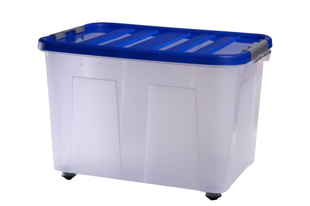 Terrarium Aufzucht und Transport Box large, 53x35,5x37cm