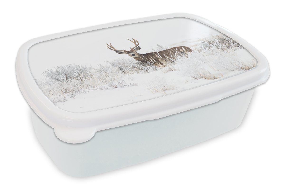 MuchoWow Lunchbox Hirsche - Winter - Schnee - Tiere - Jahreszeiten - Weiß, Kunststoff, (2-tlg), Brotbox für Kinder und Erwachsene, Brotdose, für Jungs und Mädchen