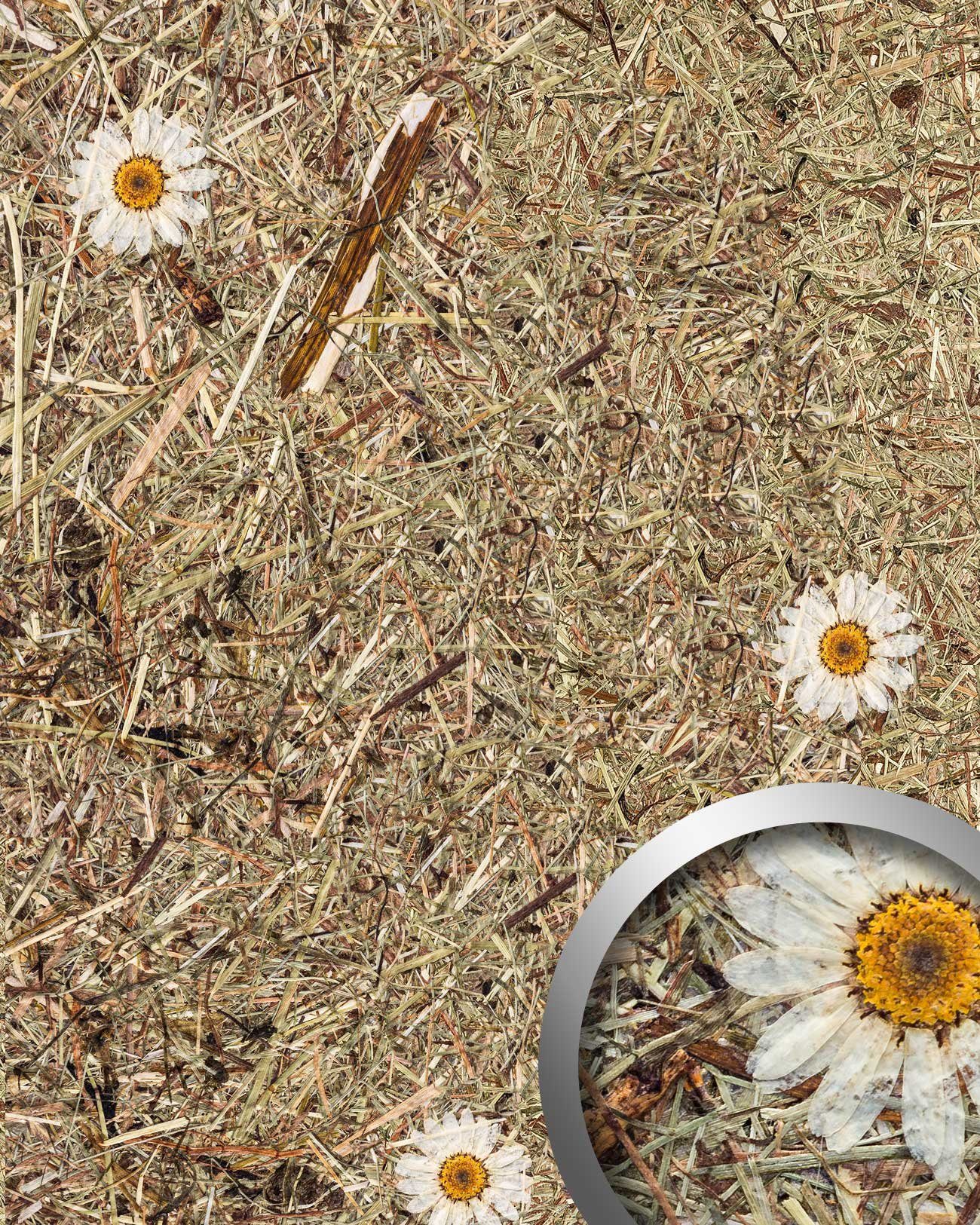 Wallface Dekorpaneele AL-11004 ALPINE DAISY selbstklebende günstig online kaufen