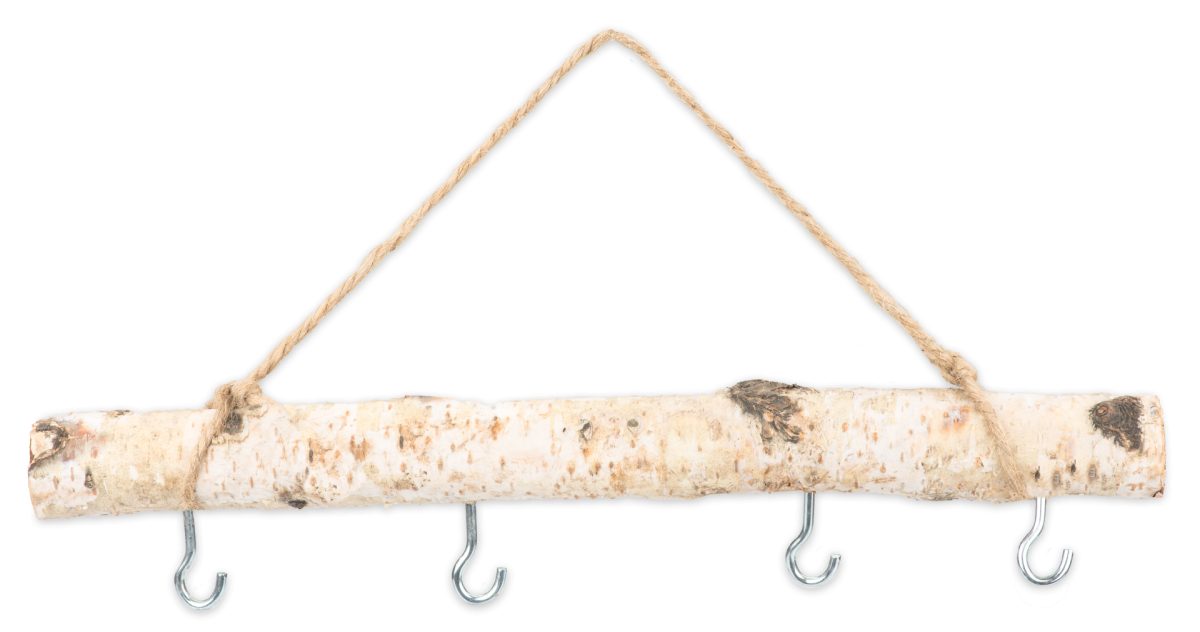 NaDeco Bastelnaturmaterial Birkenzweig ca. 30cm mit 4 Haken und Kordel