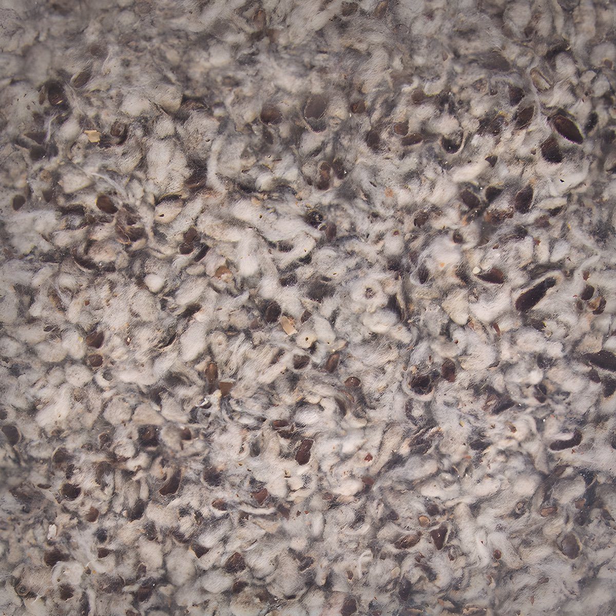 Bunny Nature Kleintierstreu Bedding Cotton 20 l (2 kg)
